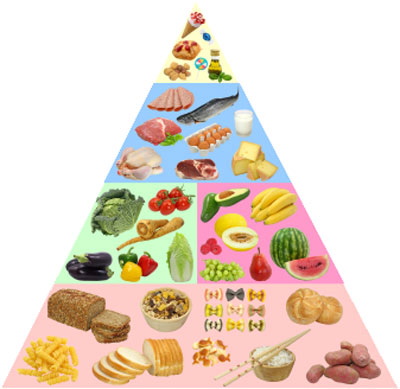 Besin Piramidi - Dünya Gıda Günü